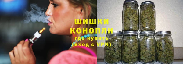 сатива Дмитровск