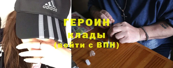 трава Ельня
