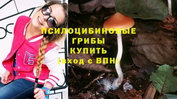 сатива Дмитровск