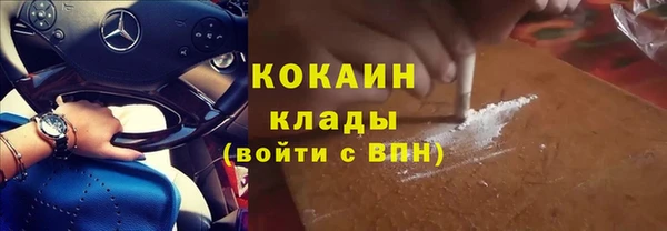 трава Ельня