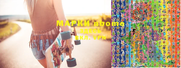 сатива Дмитровск