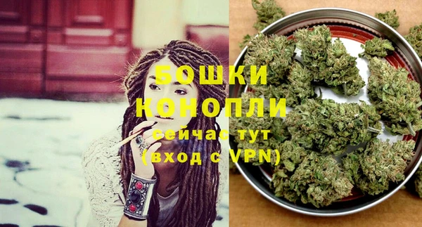 сатива Дмитровск
