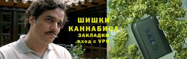 мет Дмитров